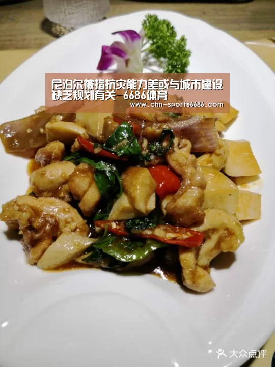 尼泊尔被指抗灾能力差或与城市建设缺乏规划有关-6686体育(图3) 6686体育